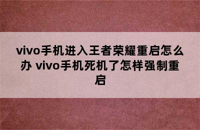 vivo手机进入王者荣耀重启怎么办 vivo手机死机了怎样强制重启